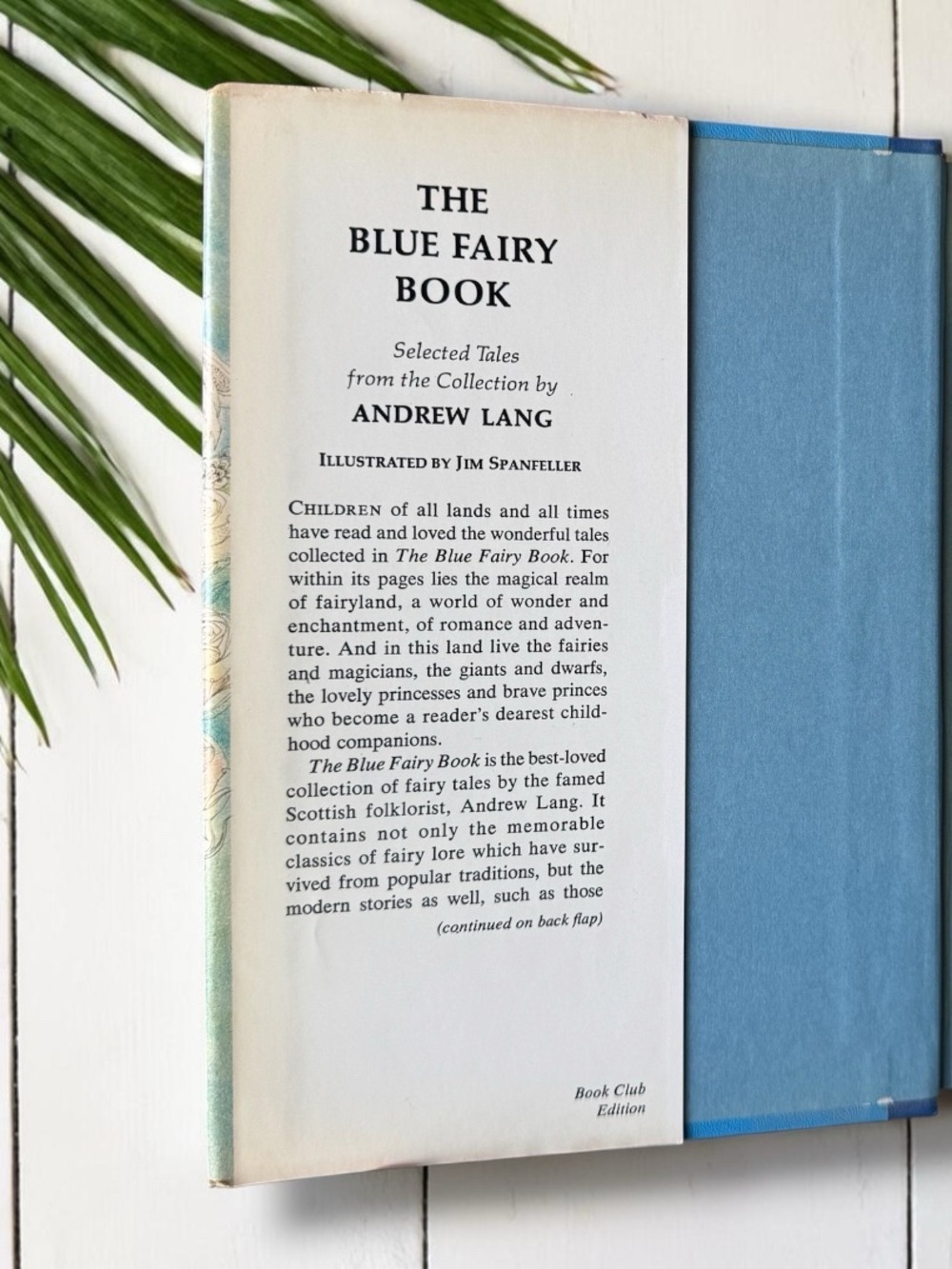 Vintage The Blue Fairy Book Andrew Lang 1969 Hardcover Dust Jacket Illustrated - Picture 9 of 15